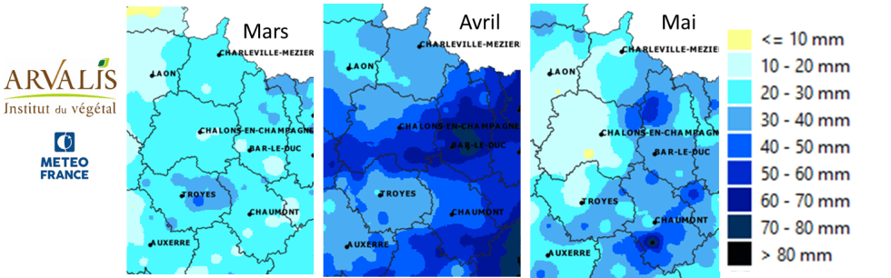 cumul de pluie mensuel