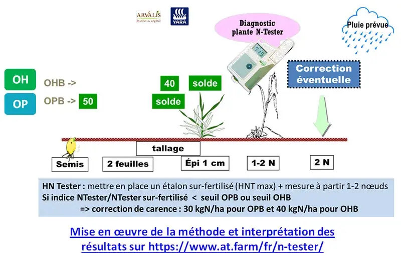 Figure&nbsp;4 : Utilisation du N-Tester sur les orges pour profiter des contextes favorables