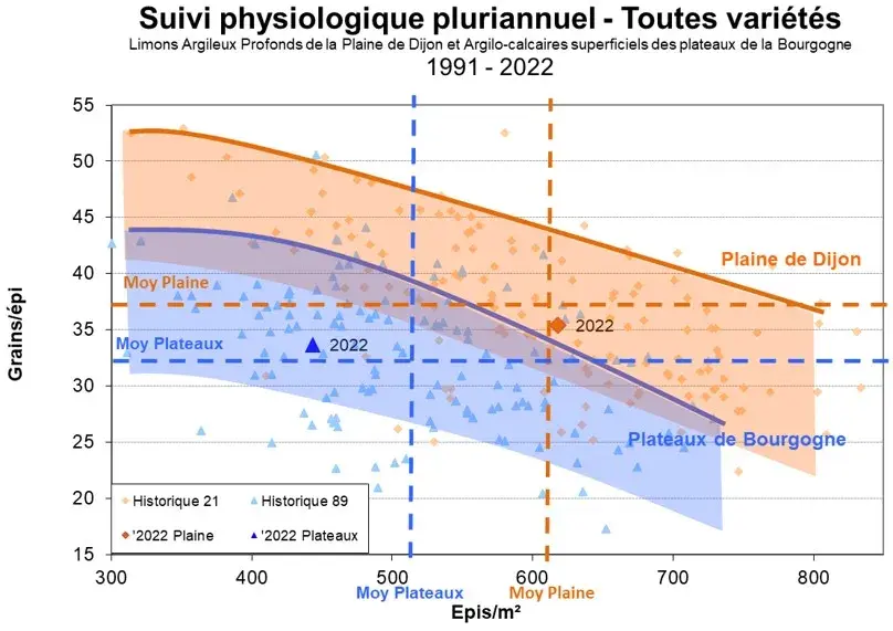 Nombre de grains/épi en fonction du nombre d’épis/m²