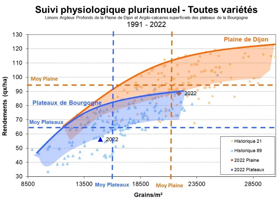Rendement (q/ha) en fonction du nombre de grains/m²