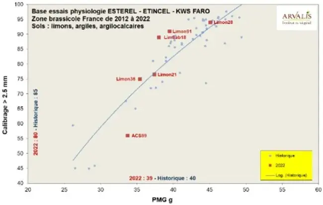 Calibrage > 2,5 mm en fonction du PMG (g)