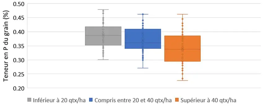 Figure 1:Dispersion des teneurs en P du grain de blé tendre par classe de rendements grain