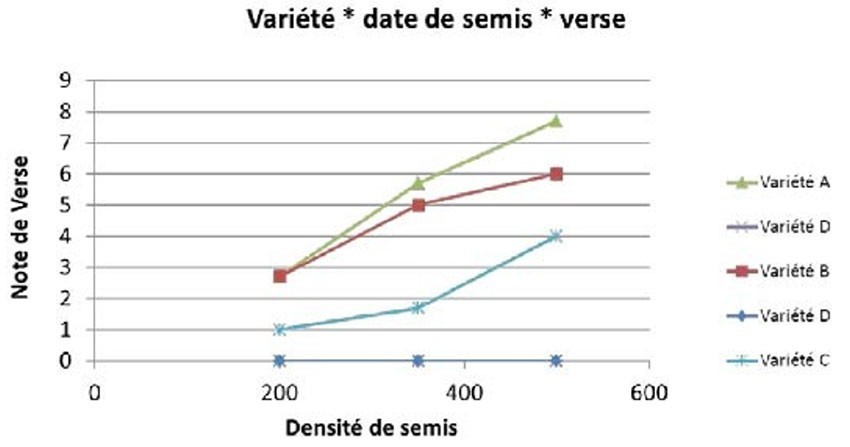 Figure 4 : Impact de la densité de semis de variétés de blé tendre sur le risque de verse – Illustration avec l’essai Vraux (51) – semis 12/10/2006