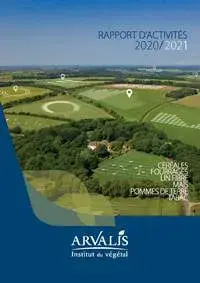 rapport d’activités 