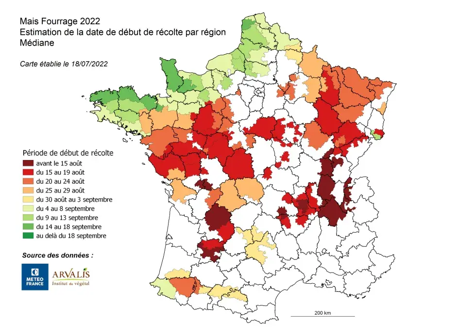 récolte maïs fourrage 2022