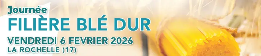 blé dur 2026