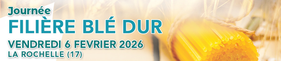 blé dur 2026