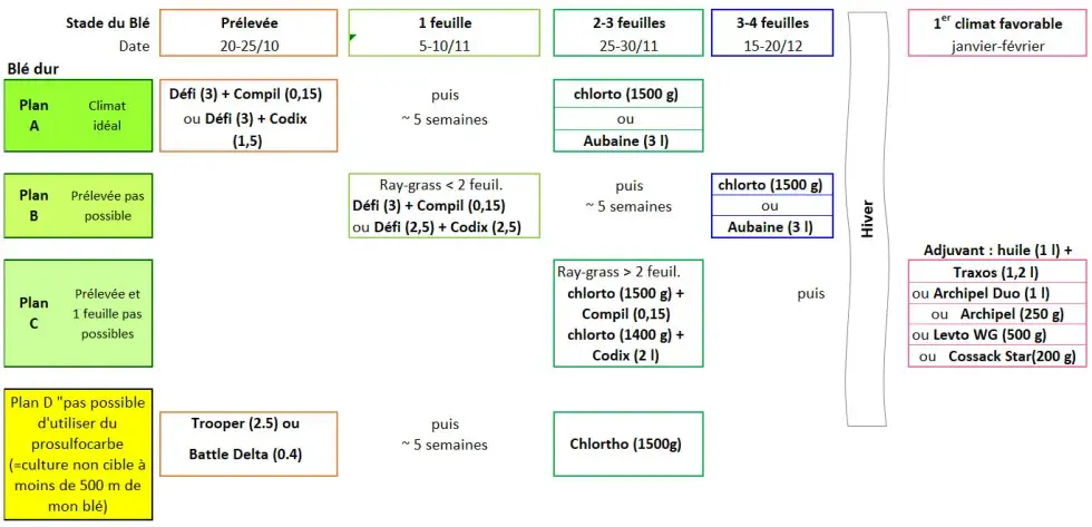 Figure 1&nbsp;: Programmes de désherbage précoce du ray-grass sur blé dur