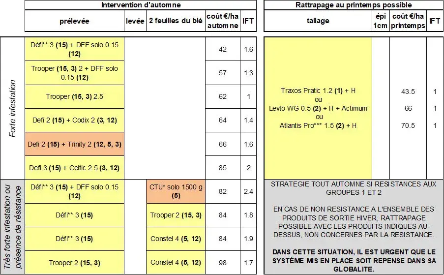 Tableau 2&nbsp;: Les solutions de désherbage recommandées pour gérer les&nbsp; vulpins dans le blé dur