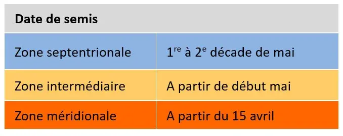 Périodes de semis pour sorgho