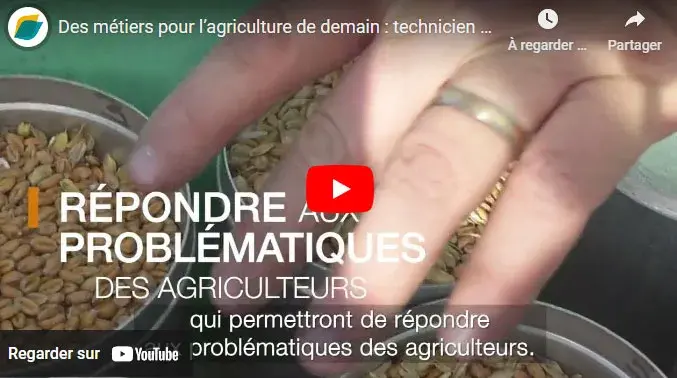 Des métiers pour l’agriculture de demain : technicien d’expérimentation dans l’Ouest chez ARVALIS