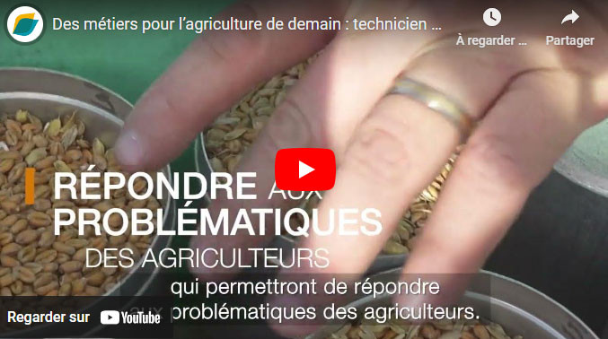 Des métiers pour l’agriculture de demain : technicien d’expérimentation dans l’Ouest chez ARVALIS