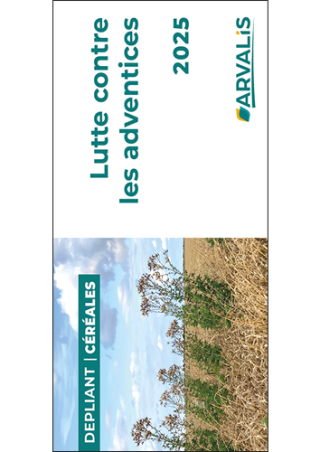 Dépliant céréales à paille : Lutte contre les adventices - 2025