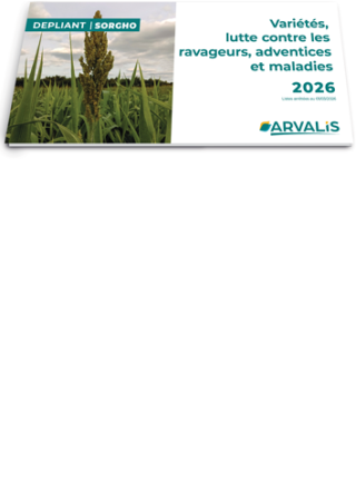 Dépliant Sorgho 2026