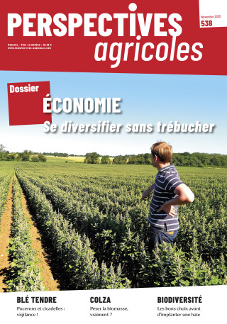 Numéro 538 de Perspectives Agricoles : Economie : Se diversifier sans trébucher