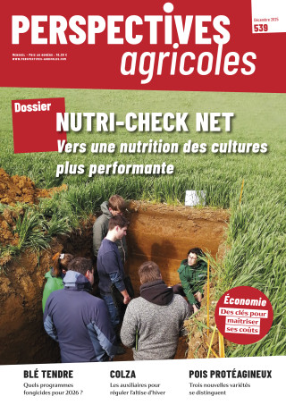 Numéro 538 de Perspectives Agricoles : Economie : Se diversifier sans trébucher