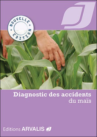 Diagnostic des accidents du maïs