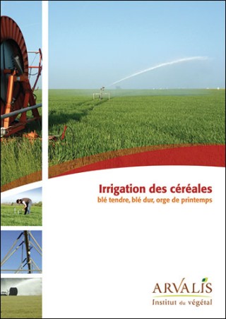 Irrigation des céréales : blé tendre, blé dur, orge de printemps