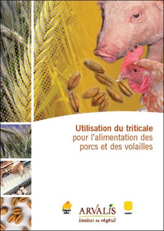 Utilisation du triticale pour l'alimentation des porcs et des volailles