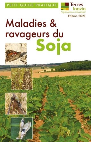 Soja - Petit guide pratique Maladies & ravageurs