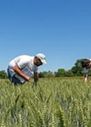 Catalogue Formations