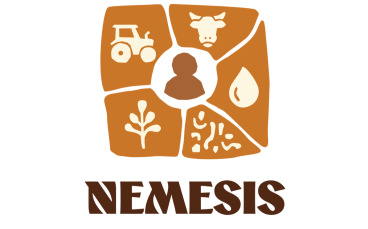 Logo projet de recherche NEMESIS