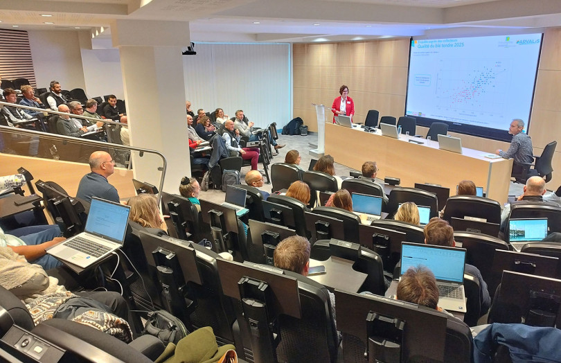 amphithéâtre © ARVALIS