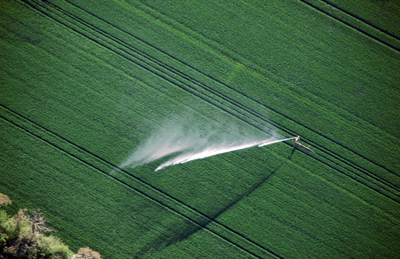 Irrigation du blé tendre en 2026 en Auvergne