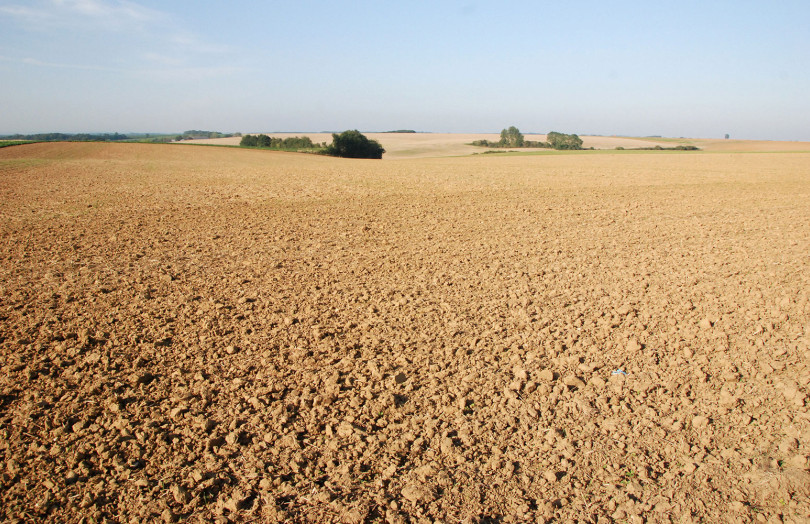 Une parcelle nue avant semis de blé dur à l’automne 2025 en Occitanie
