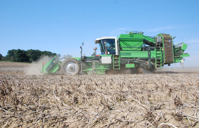 Une arracheuse de pomme de terre automotrice verte dans la parcelle