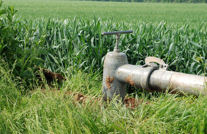 Vanne d'irrigation devant une parcelle de blé tendre en 2026 en Poitou-Charentes