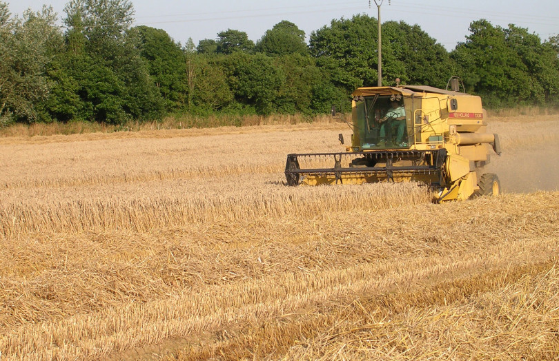 Récolte de blé tendre d’hiver en 2025 en Bretagne