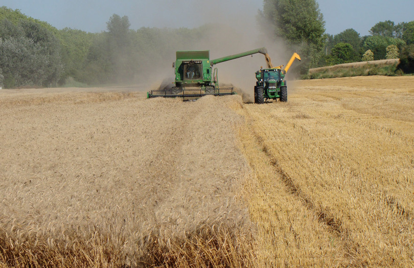 Récolte du blé dur en 2026, en Poitou-Charentes
