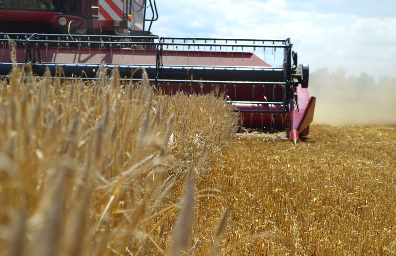 Une moissonneuse-batteuse rouge récolte l'orge d'hiver en juin 2026 en Franche-Comté