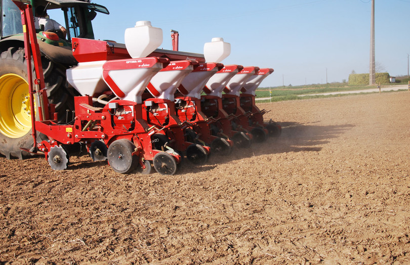 Semis de maïs 2026 dans le Sud