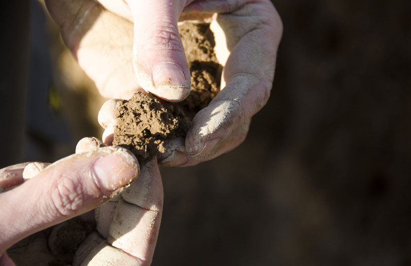 Motte de terre entre des doigts avant analyse du reliquat azoté