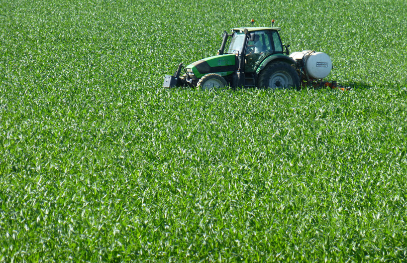 épandeur à engrais dans du maïs