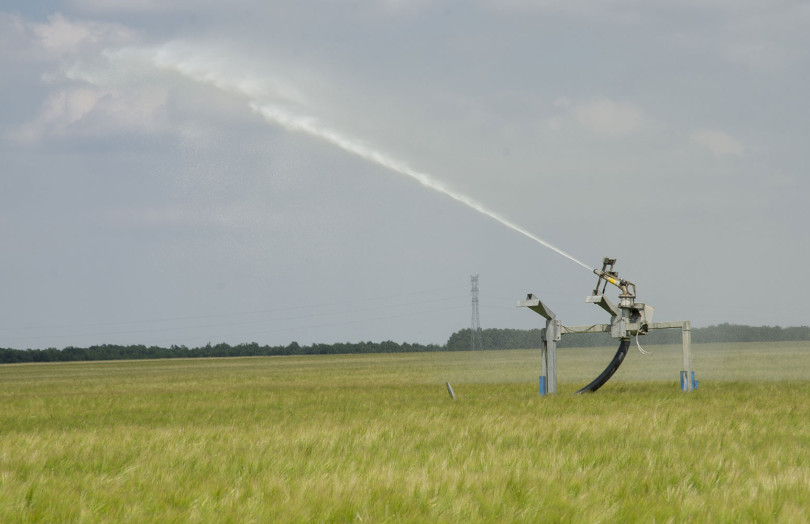 Canon d'irrigation dans une parcelle d’orge au printemps 2026 en Poitou-Charentes