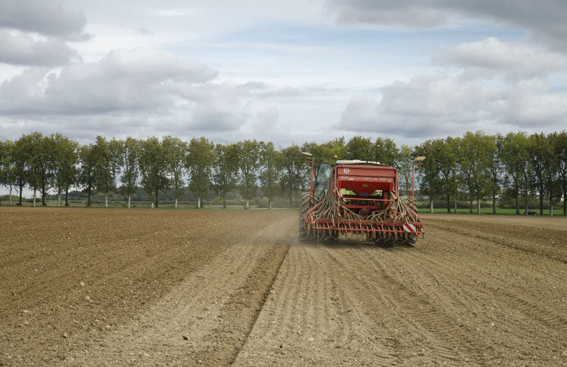 Semis de blé en Bretagne