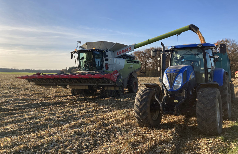 Récolte de maïs 2025 en Auvergne