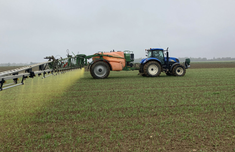 Désherbage des céréales en postlevée en 2026 en Poitou-Charentes