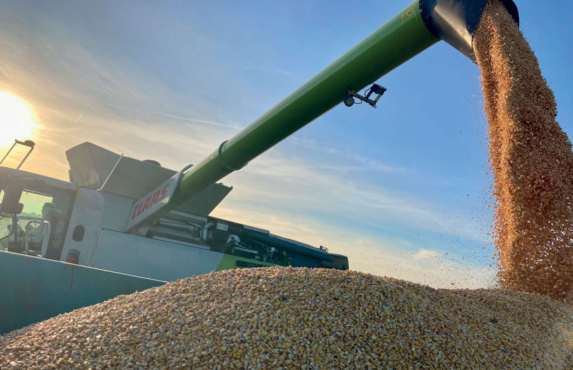 Récolte de maïs 2025 en région Centre