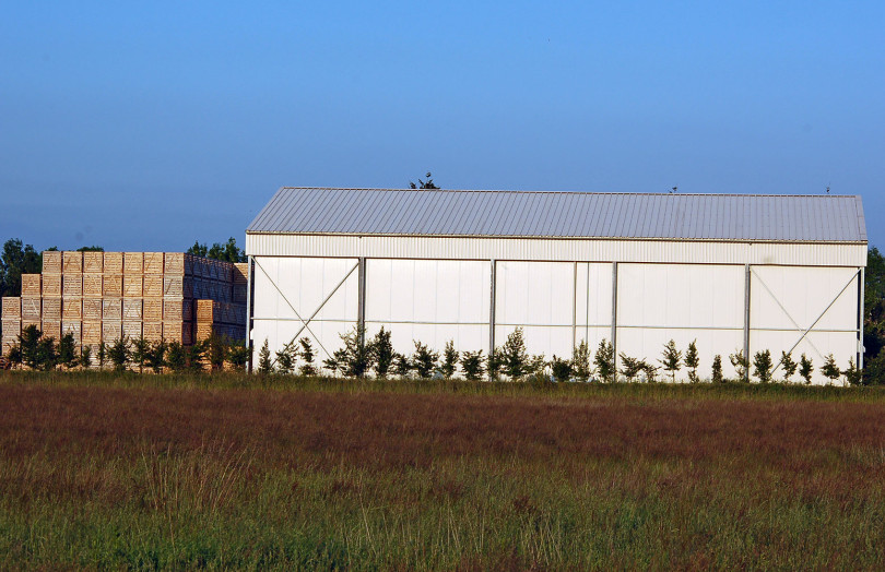 bâtiment pommes de terre + palox