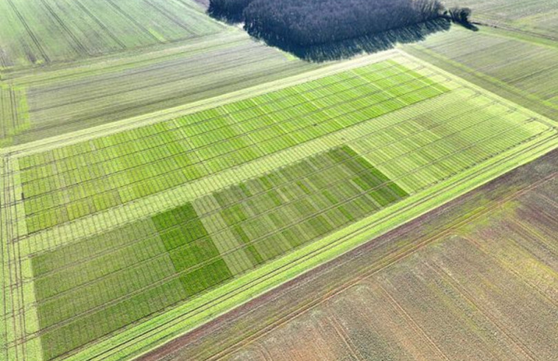 Essais variétés 2025 en Hauts de France