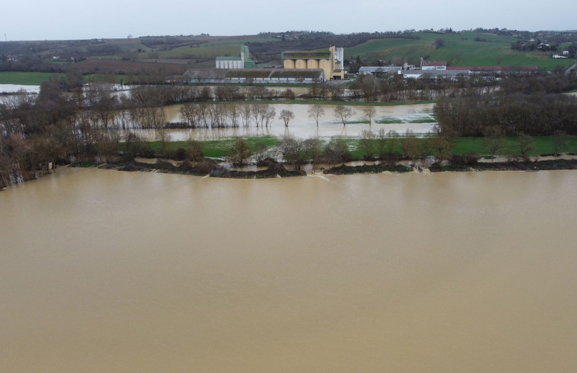 Parcelle de céréales sous l’eau début février 2026 dans le Sud-Ouest