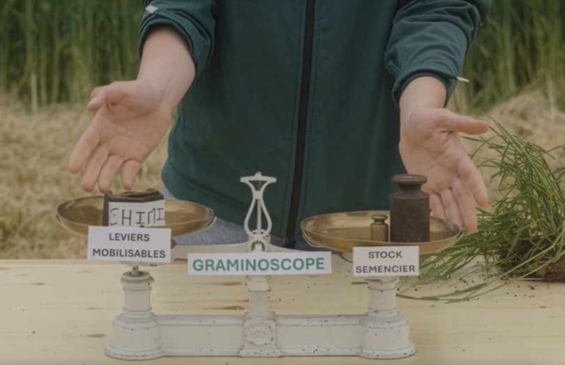 le graminoscope