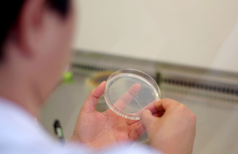 Cindy devant sa paillasse