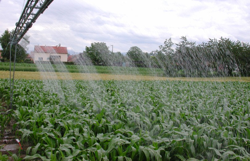 Irrigation du maïs en juin 2023 en Poitou-Charentes
