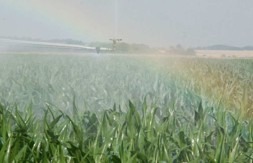 Irrigation d’une parcelle de maïs fin juin 2023 en Auvergne