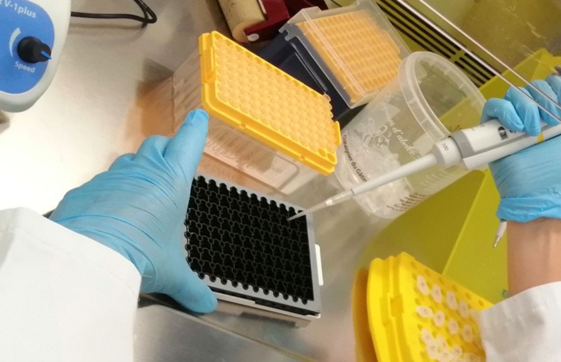 PCR pour détection des agents de biocontrôle